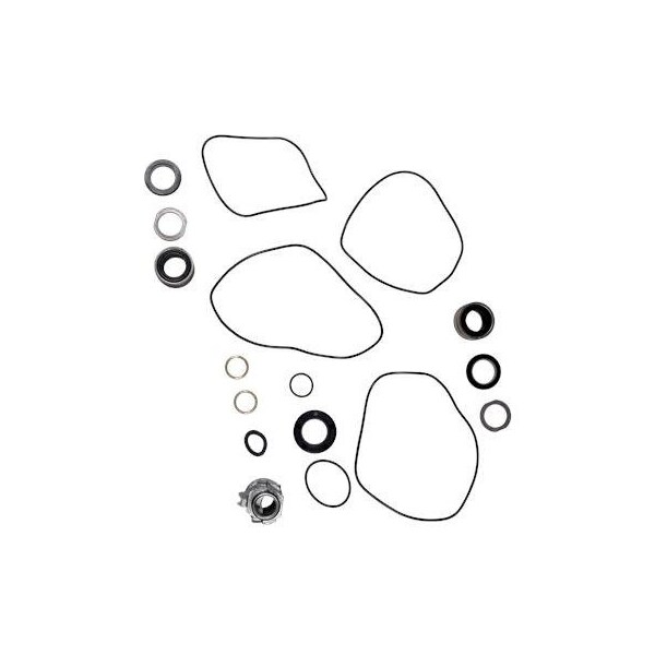 Pump Repair Kits- Kit, APG50.31/50.31.3Ex, APG Series.